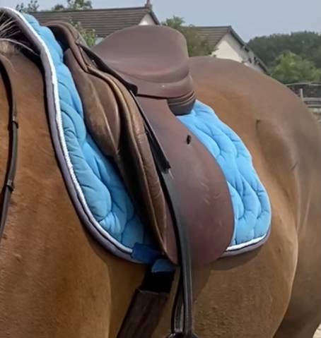 Selle Forestier Mixte 17p