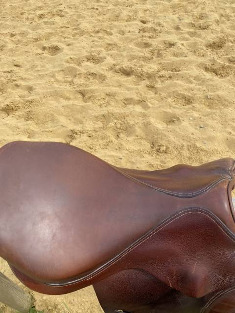 Selle Forestier Mixte 17p