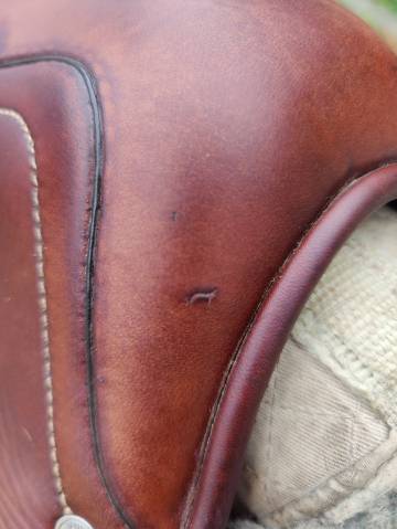 Selle Antares Monoquartier