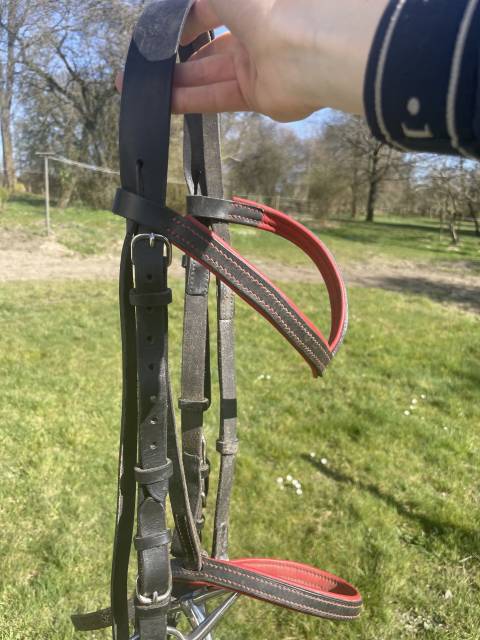 Selle mixte - obstacles 