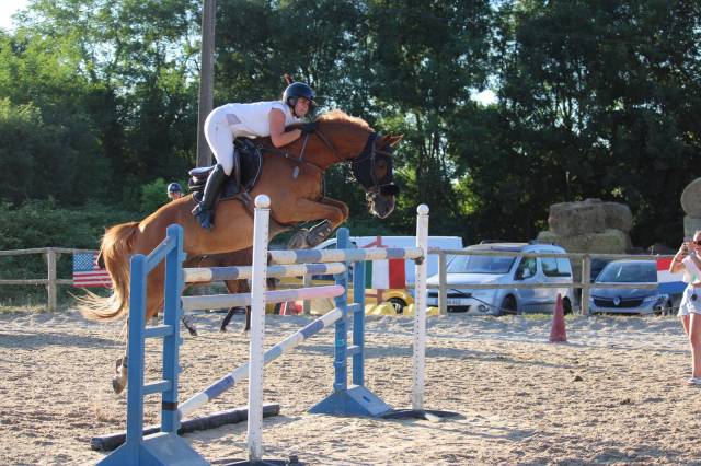 Hongre alezan cso amateur 
