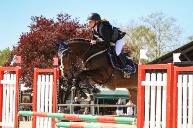 Pension chevaux bien être / enseignement