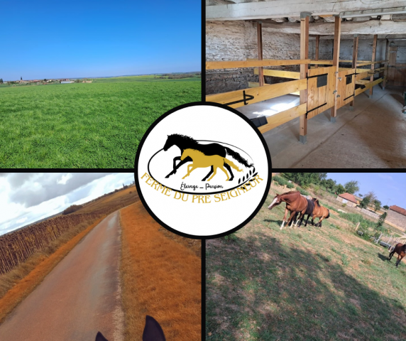 Pension cheva - ferme du pre seigneur 52110 morancourt 