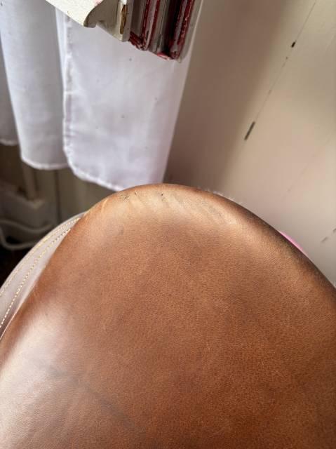 Selle mixte Éric Thomas 17´