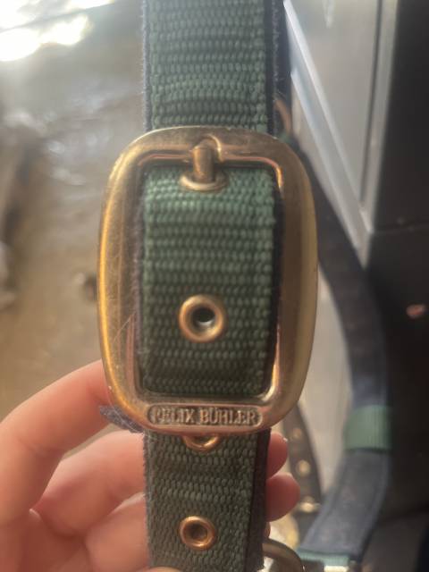 Licol en moumoute F&eacute;lix B&uuml;hler 