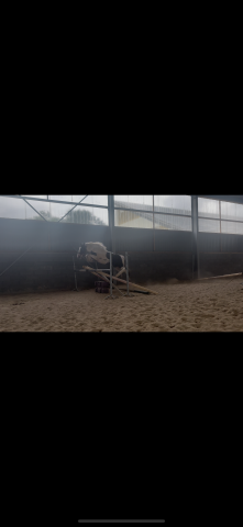 Super poney par Dragibus du rouget 