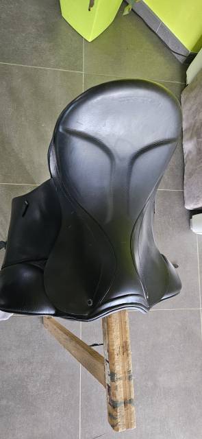 Stubben Genesis Spezial 