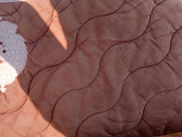 Tapis dressage scapa sport 