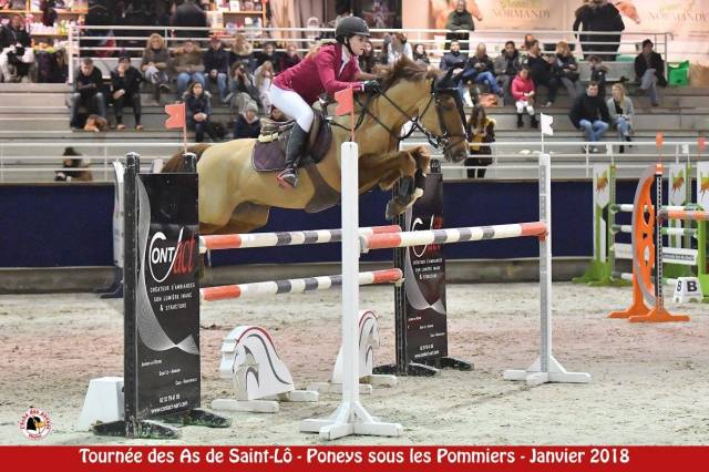 Recherche cheval pour valorisation