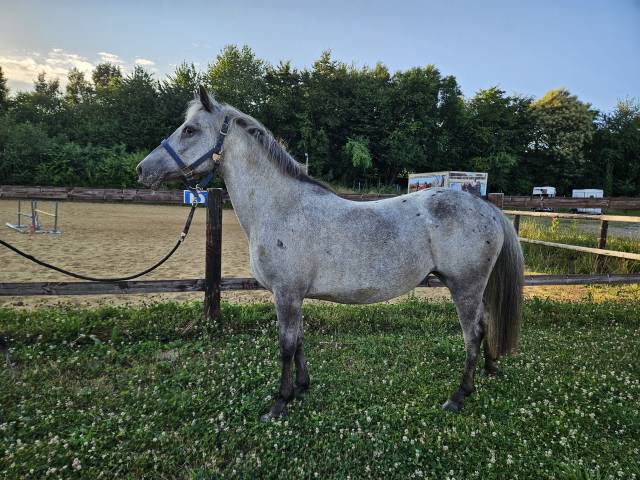 ponette onc