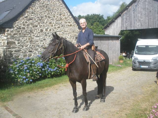 Cheval monté et attelé