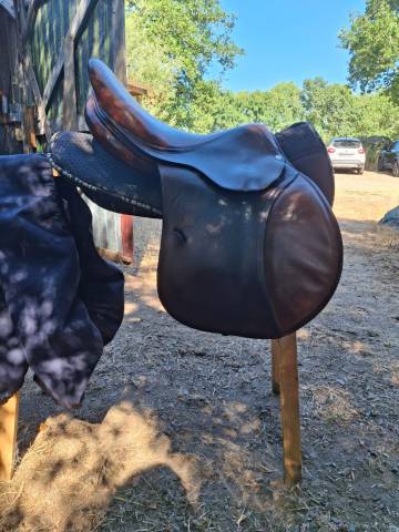 Selle mixte semi creuse 17" antares