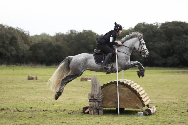 À VENDRE – PONEY DE CCE AS PONEY ÉLITE GRAND PRIX