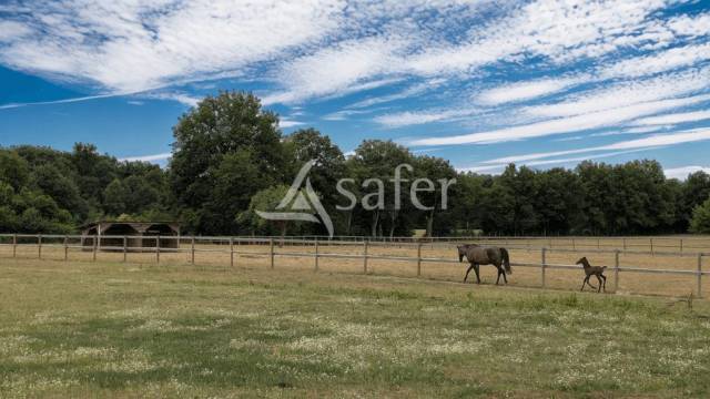 Maison avec logement indépendant et 10 ha de prairies clôturé