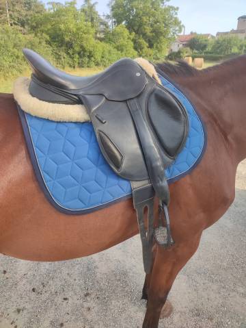 Selle monoquartier mixte noire taille 17.5