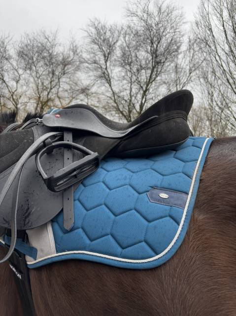 Selle  THOROWGOOD - T4