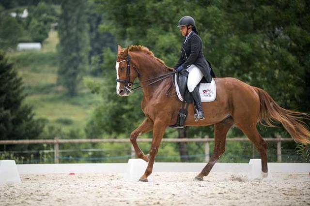 Jument de dressage potentiel St Georges