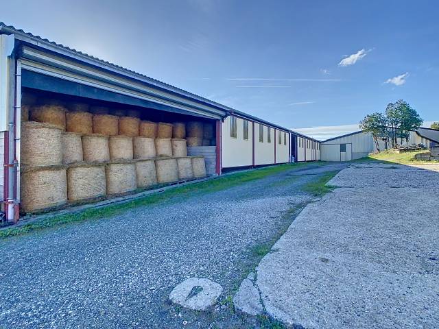 ALBI (81) - Propriété élevage 50ha avec corps de ferme 