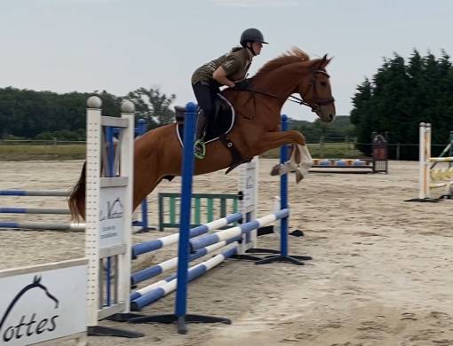 4 ans sBs cso cce 