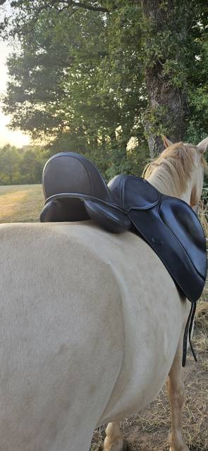 Selle de dressage 17,5   prix cassé 