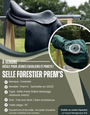 SELLE FORESTIER PREM'S - Enfant