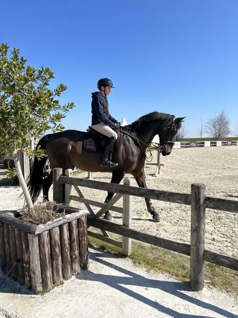 Hongre de 14 ans classé 145