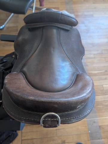 Bardette Guy Cantin 15,5