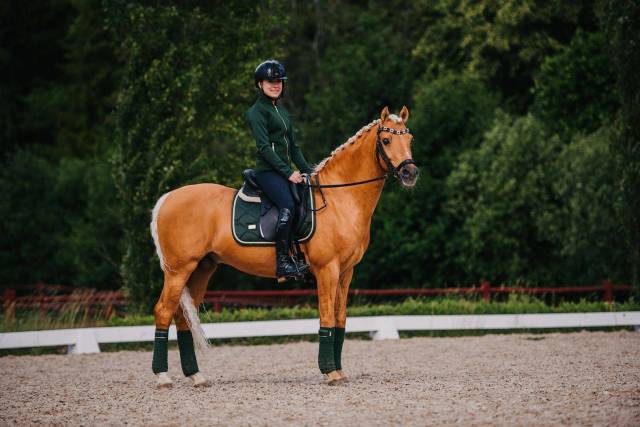 Tapis de selle DRESSAGE Forest Green - Equestrian Stockholm - Tissu déperlant