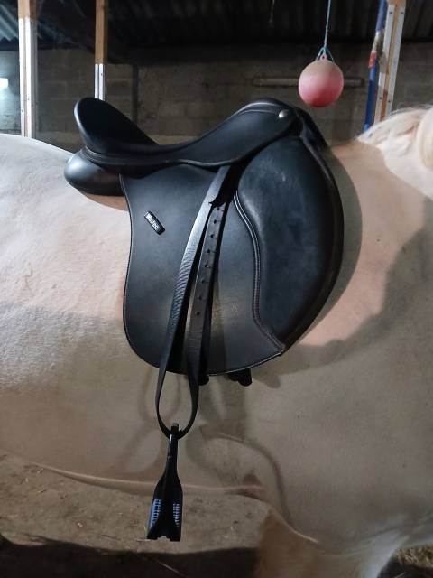 Selle Wintec 500 caire 16,5 