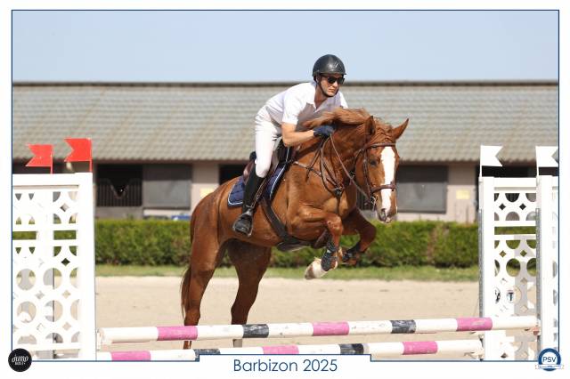Jument CSO adorable SF 165cm