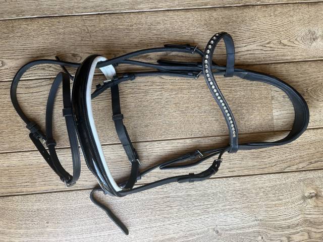 Bridon dressage 
