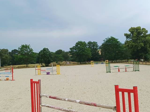 Pension travail cheval cavalier cso + sorties concours