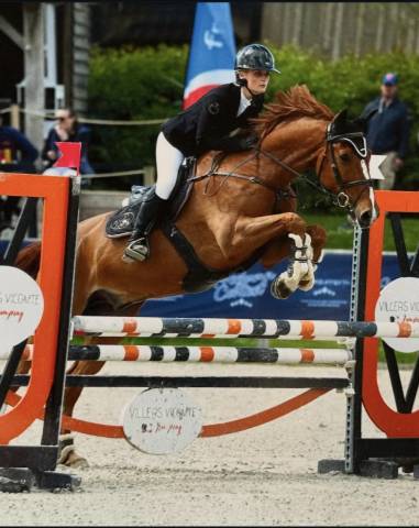 Cheval à vendre 