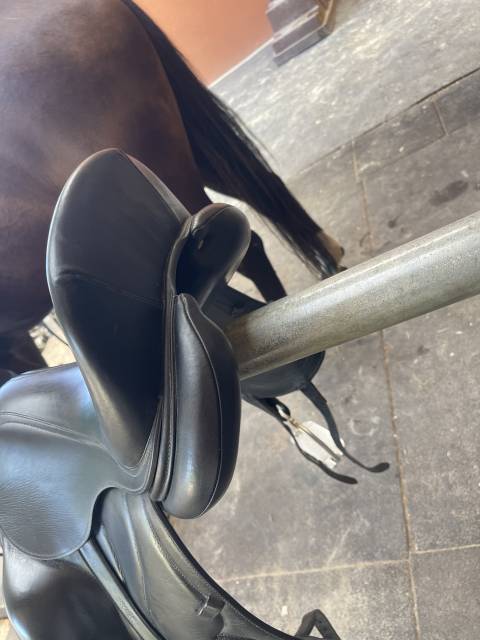 Selle Dressage Antares