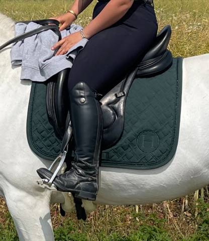 Tapis Dressage Harcour