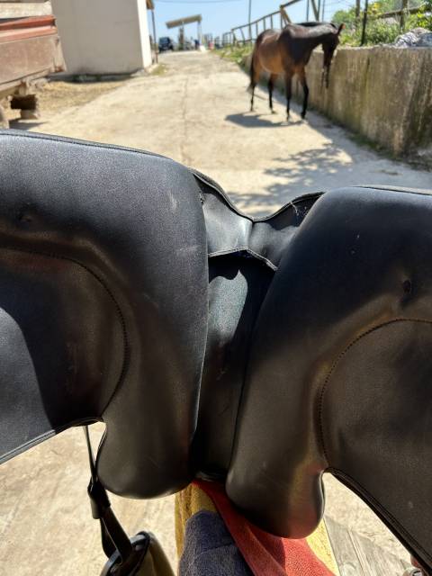 Selle wintec dressage isabelle Werth