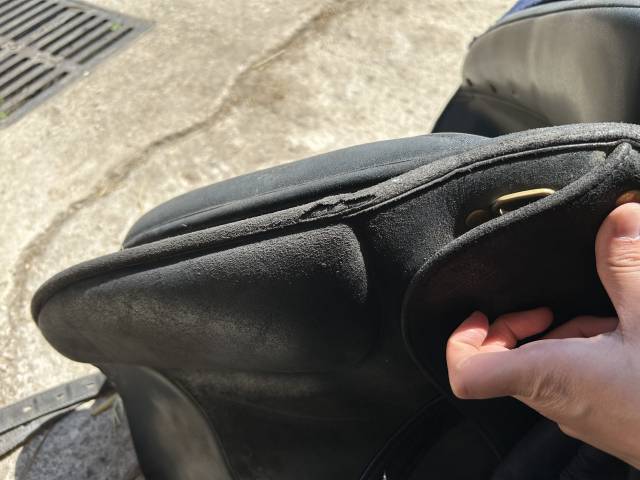 Selle wintec dressage isabelle Werth