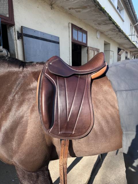 Selle de dressage 