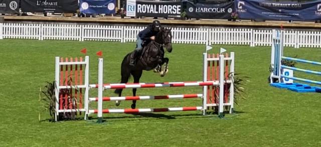 Cheval cso 