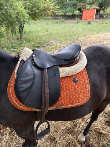 Selle Forestier Pierre Durand 