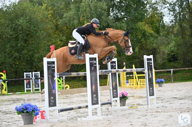 Hongre de 15 ans classé amateur élite 