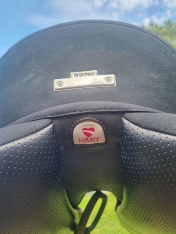 Selle de dressage Isabelle Werth Hart 