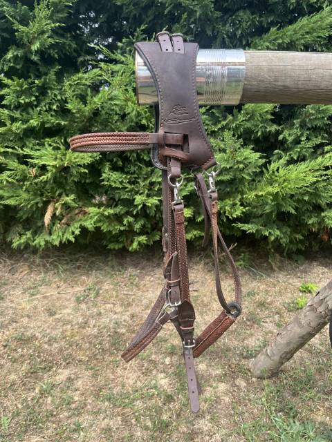 Bridon licol ergonomique