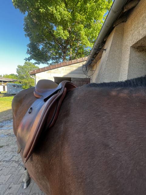 Selle de cso artisanale  17 pouces