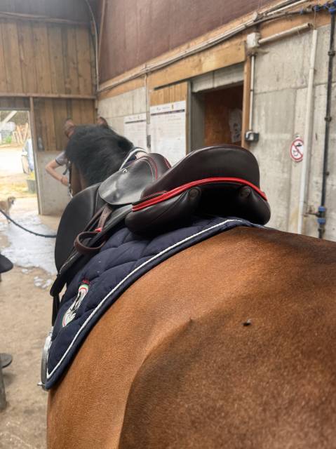 SELLE PARIANI - modèle Custom Jump Lady 17"