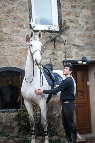 Grande hongre z de 11 ans