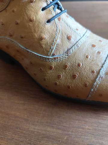 Bottes d'Equitation Femme modèle unique (neuves)