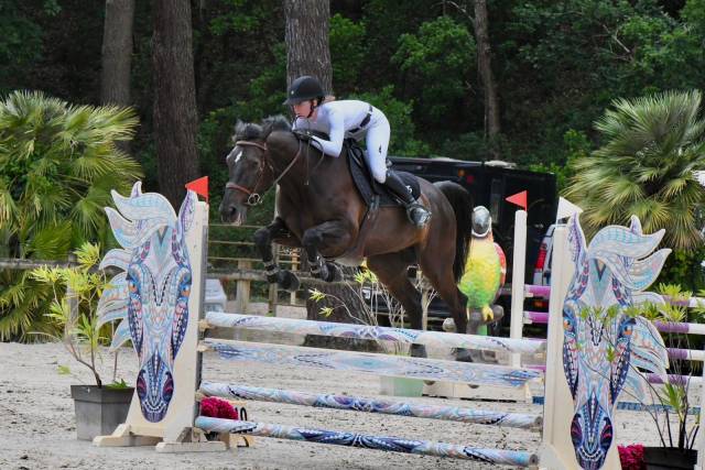 Vends fripouille d’ermont