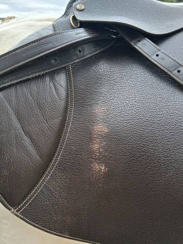 Selle tdt mixte 17,5