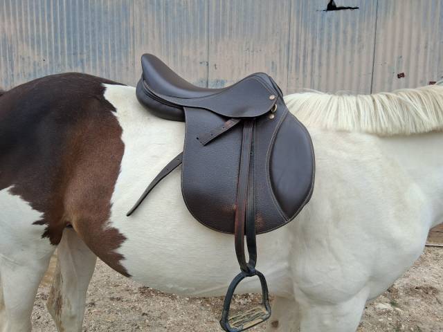 Selle tdt mixte 17,5